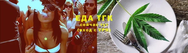 шишки Богородицк