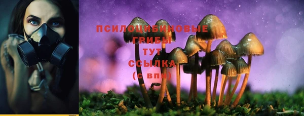 шишки Богородицк