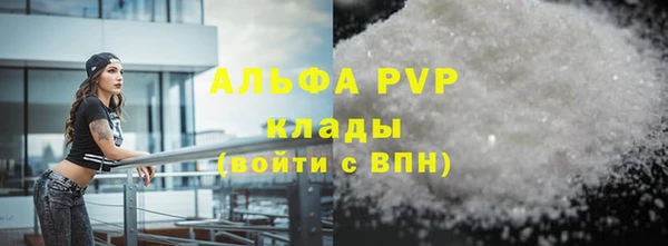шишки Богородицк