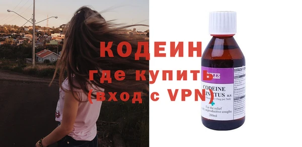 шишки Богородицк