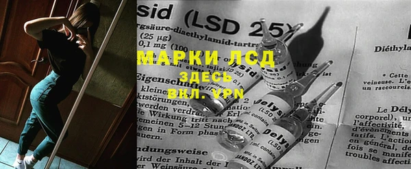 шишки Богородицк