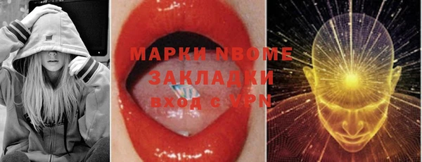 шишки Богородицк