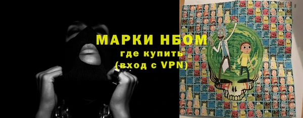 шишки Богородицк